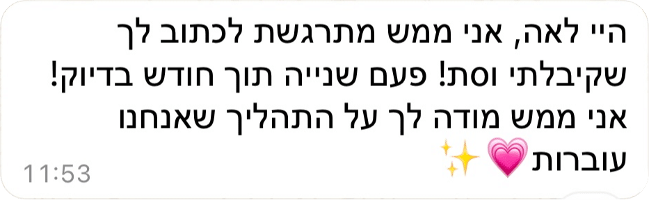 עותק של המלצה 11